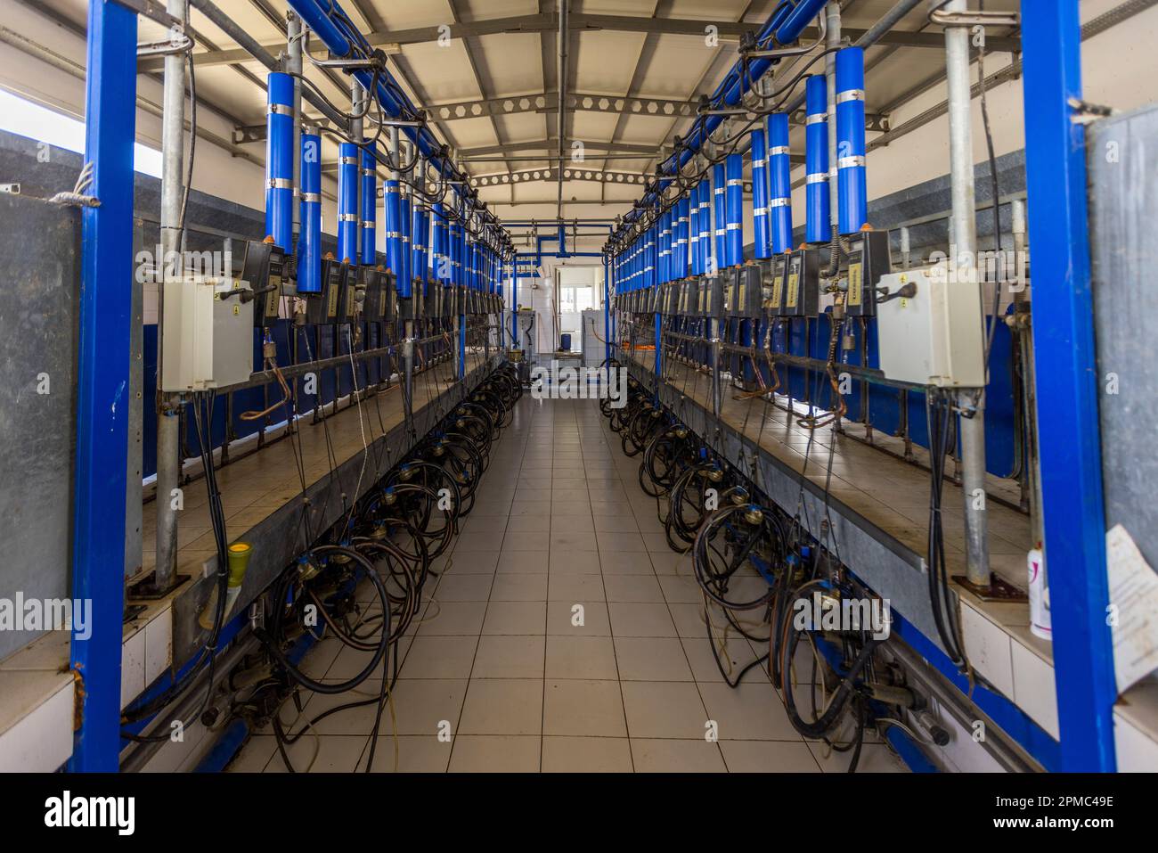 Eine leere Melkanlage für Ziegen, ausgestattet mit Reihen von blauen Melkmaschinen auf beiden Seiten, steht auf einem Bauernhof in der Nähe von Palaikythro, Türkische Republik Zypern (TRNK). Stockfoto