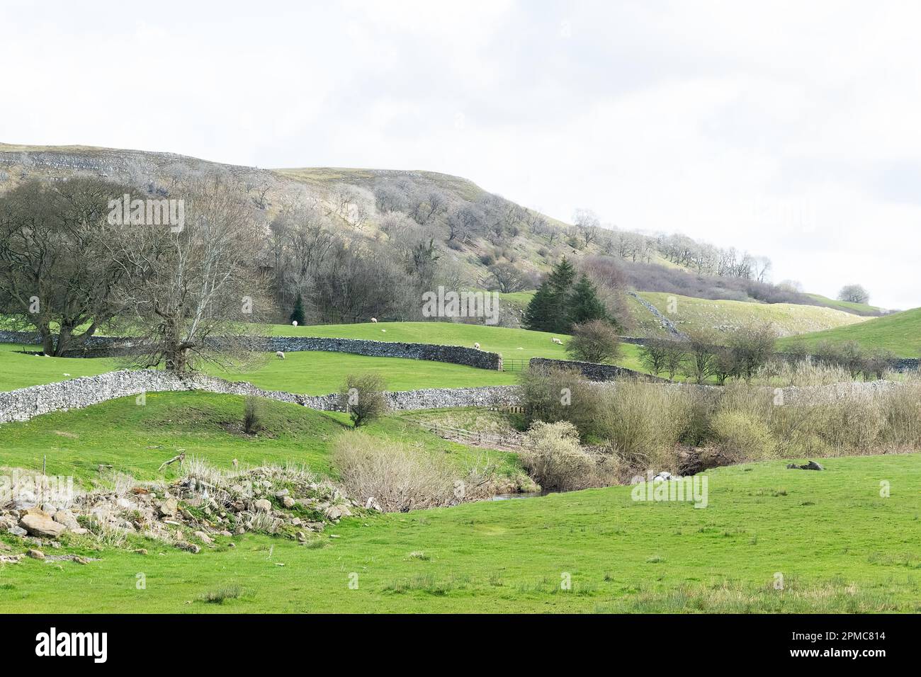 Landschaftsbilder in der Nähe des Dorfes Aysgarth im Norden von Yorkshire, England Stockfoto