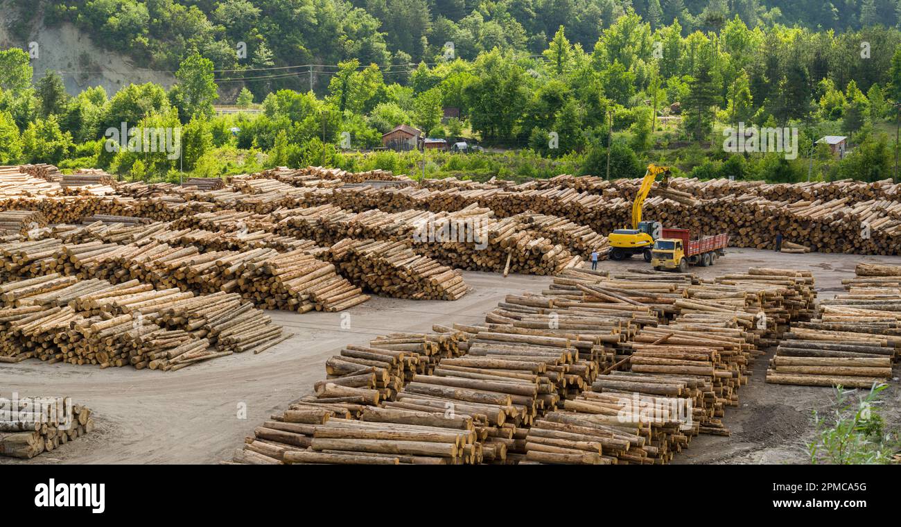 Ein Kran sammelt in der Holzfabrik Stämme auf. Holz- und Holzlagerung. Stockfoto