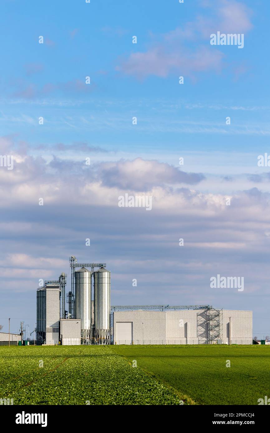 Eine Futtermittelfabrik vor dem Hintergrund grüner landwirtschaftlicher Felder. Getreidesilos neben der Verarbeitungsanlage. Foto bei sonniger Sonne Stockfoto