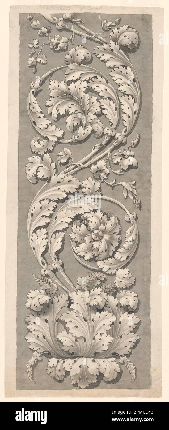 Zeichnung, Acanthus Ornament; Italien; Stift und graue Tinte, graue Waschunterlage: Weißes, liegendes Papier; 43,8 x 17,5 cm (17 1/4 x 6 7/8 Zoll) Matte: 55,9 x 40,6 cm (22 x 16 Zoll) Stockfoto