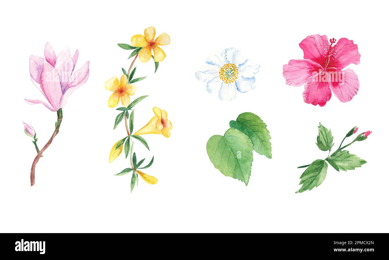 Set in Aquarellfarben mit Blumenmuster. Exotische Blumen. Handgezeichnete botanische Darstellung isoliert auf weißem Hintergrund. Botanische Sammlung. Kann für Aufkleber verwendet werden Stockfoto