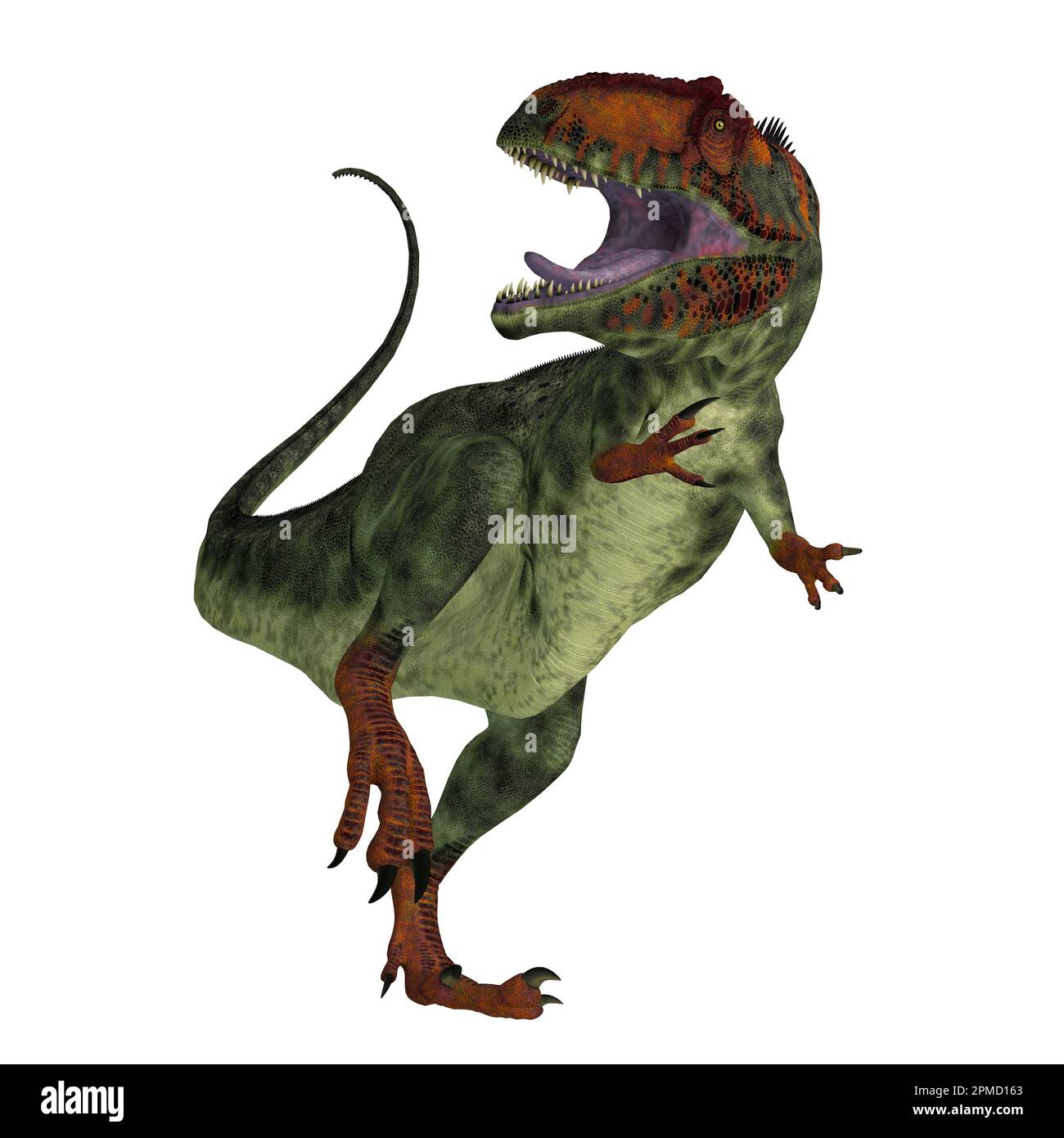 Giganotosaurus war ein fleischfressender theropoder Dinosaurier, der in Argentinien während der Kreidezeit gelebt. Stockfoto