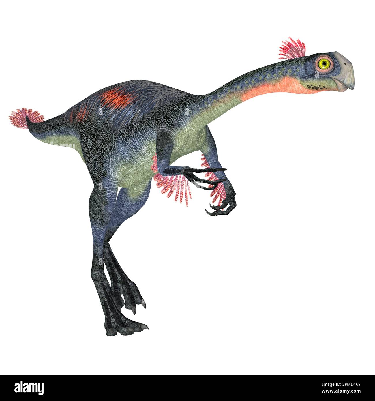 Gigantoraptor war ein theropoder Dinosaurier, der in der Inneren Mongolei, China in der Kreidezeit lebte. Stockfoto