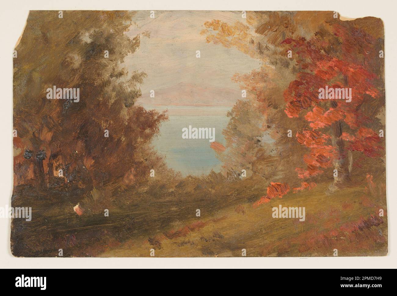 Zeichnen, Waldszene im Herbst; Frederic Edwin Church (amerikanisch, 1826–1900); USA; Pinsel- und Ölfarbe auf Pappe; 15,2 x 23,5 cm (6 x 9 1/4 Zoll) Stockfoto