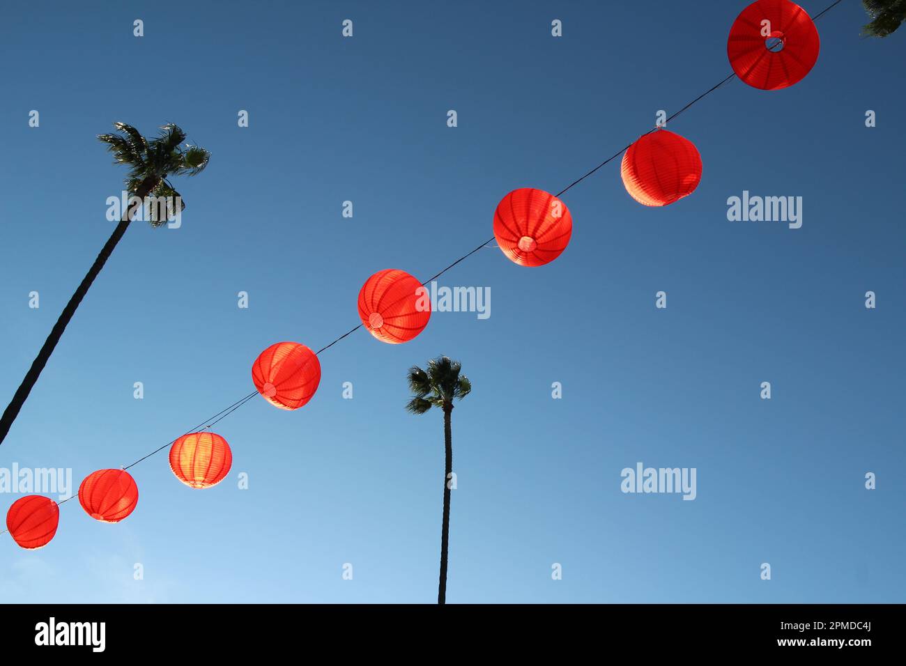 Red Lanterns on Blue Sky mit Palmen während des chinesischen Neujahrsfestes. Stockfoto