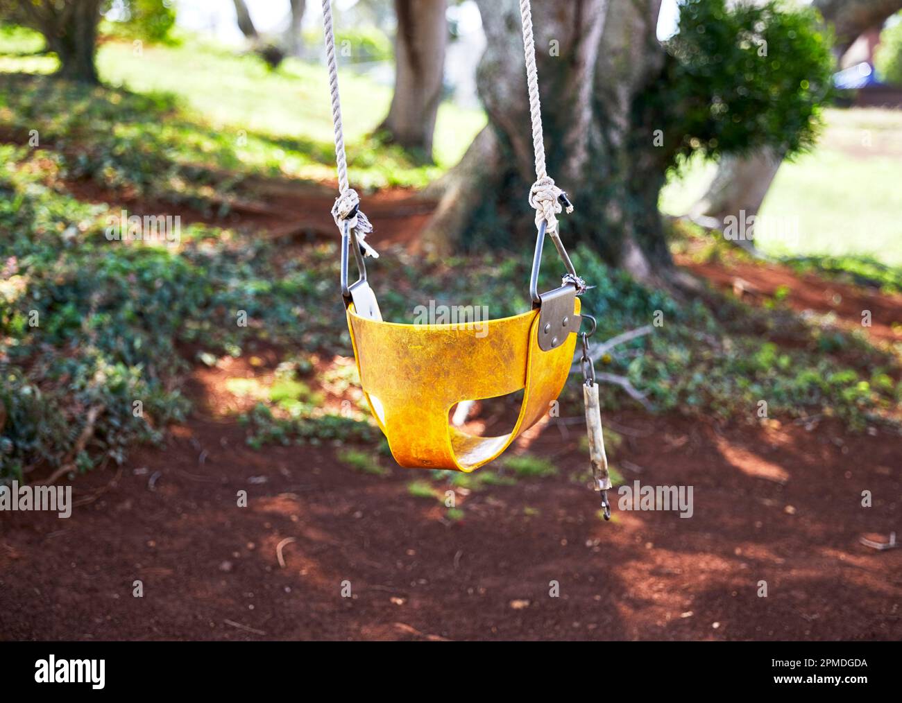 Kinderschaukel an einem Baum befestigt Stockfoto