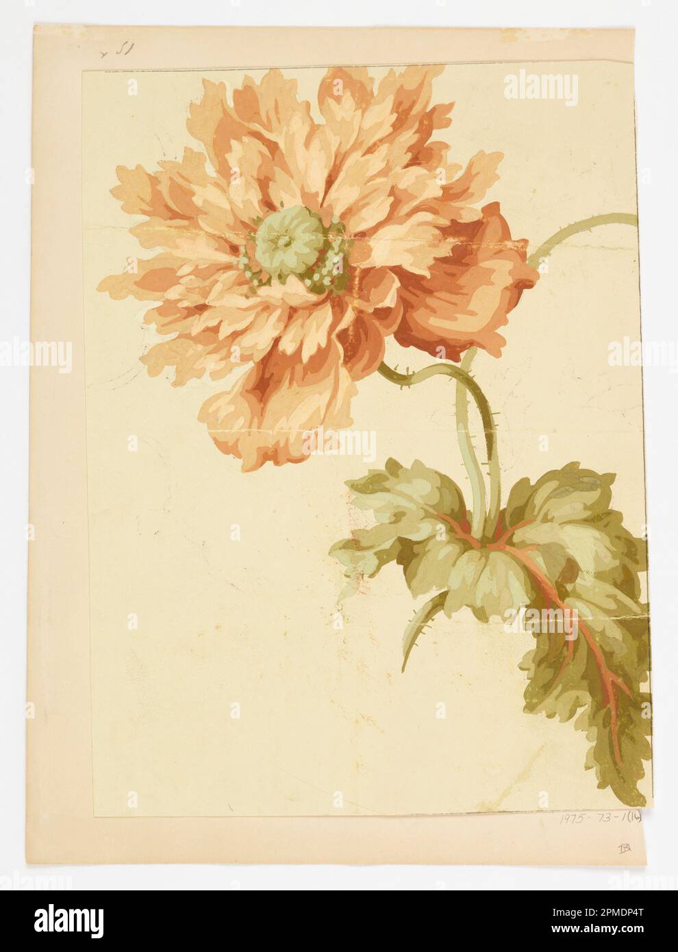 Zeichnung (USA); Pinsel und Riesenkopf auf cremefarbenem Papier, auf cremefarbenem Papier; 29,2 x 22,2 cm (11 1/2 x 8 3/4 Zoll), unregelmäßig Stockfoto