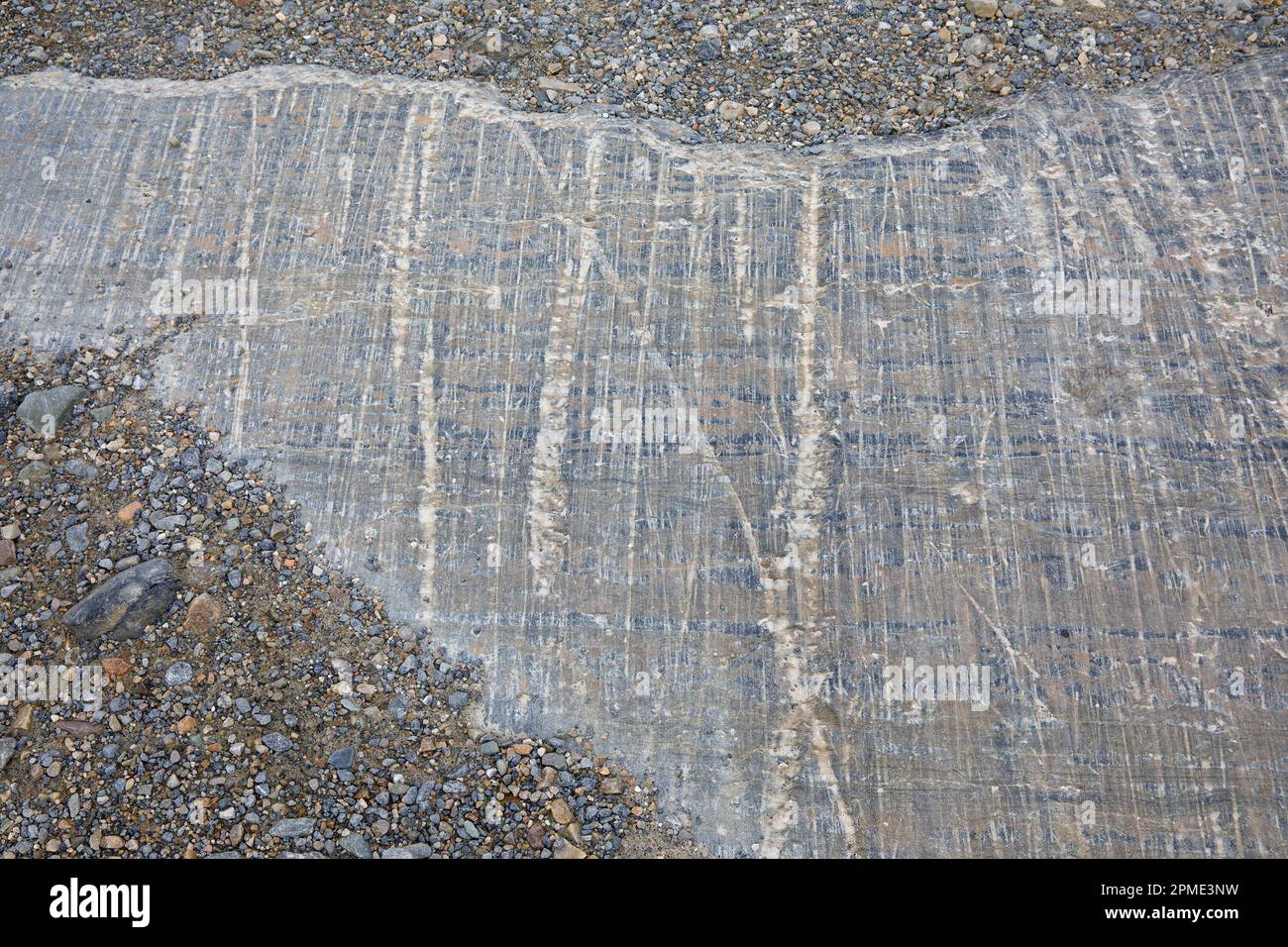Gletscherstreifen vom Athabasca-Gletscher, parallele Kratzer im Felsen, die die Richtung der Eisbewegung zeigen, Jasper National Park, Kanada Stockfoto