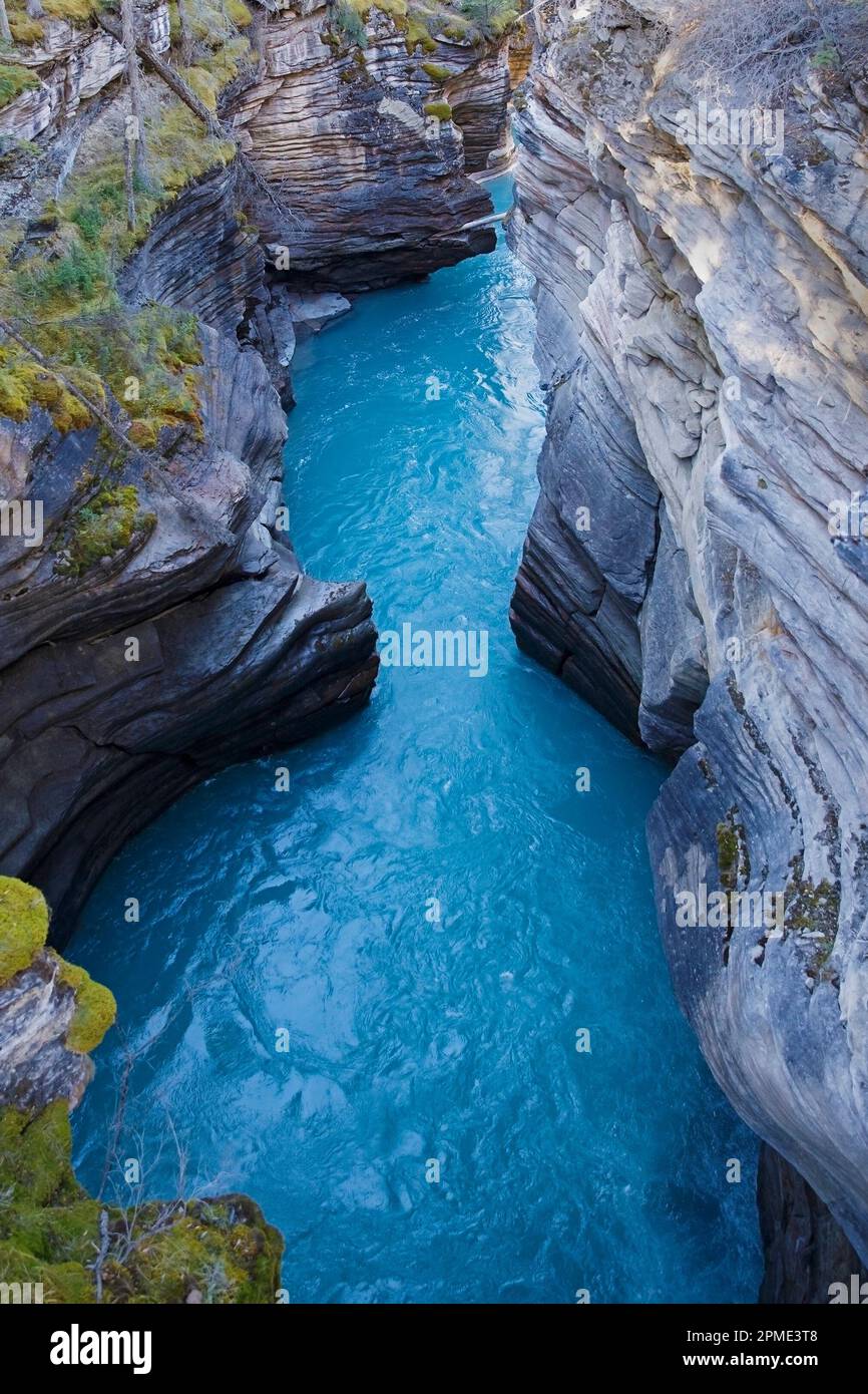 Das türkisblaue Wasser des Athabasca River fließt durch den Athabasca Falls Canyon auf dem Icefields Parkway im Jasper National Park, Alberta, Kanada Stockfoto