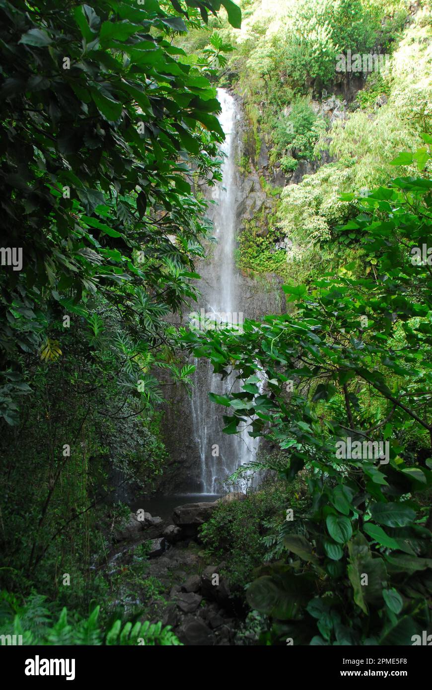 Ein Wasserfall im Dschungel entlang einer schmalen Küstenstraße in Maui, in vertikaler Sicht. Stockfoto