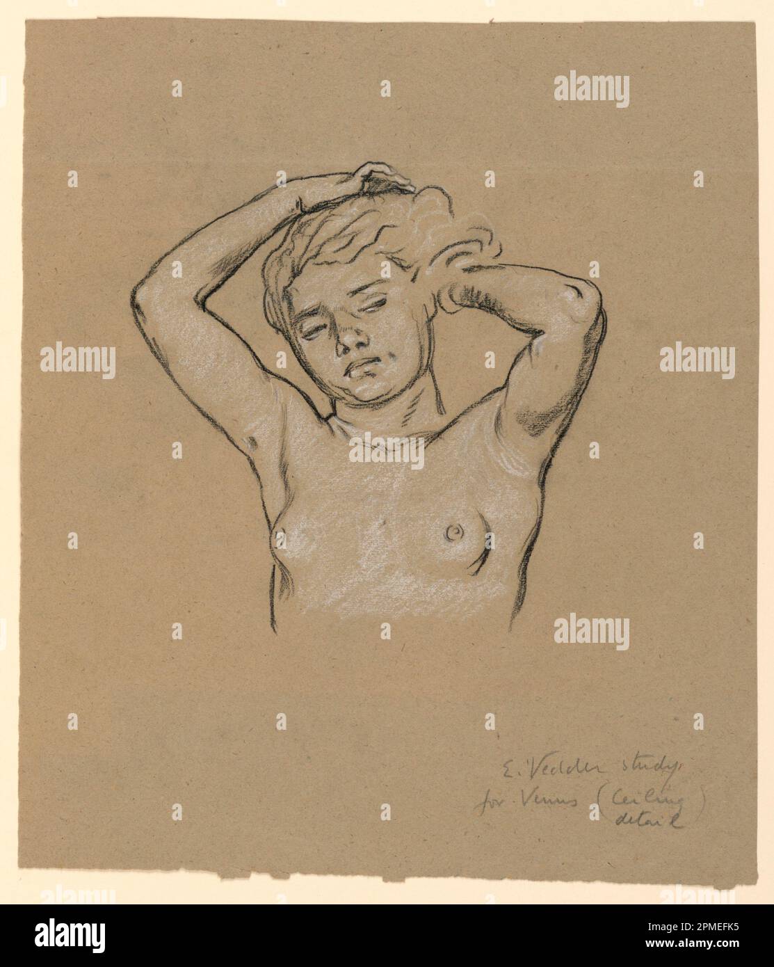 Zeichnung, Studie für „Venus“; Elihu Vedder (amerikanisch, 1836–1923); USA; Schwarzer Stift, weiße Kreide, auf hellbraunem Papier; 29,5 x 25,1 cm (11 5/8 x 9 7/8 Zoll) Stockfoto