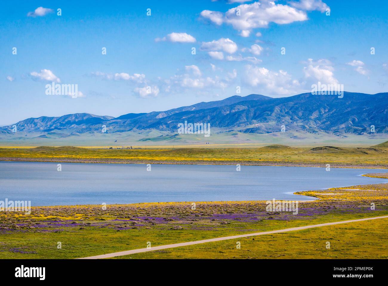 Superblüte am Soda Lake. Das Carrizo Plain National Monument in Zentral-Kalifornien ist mit Gelb-, Orange- und Purpurschwaden aus einer riesigen Blüte bedeckt Stockfoto