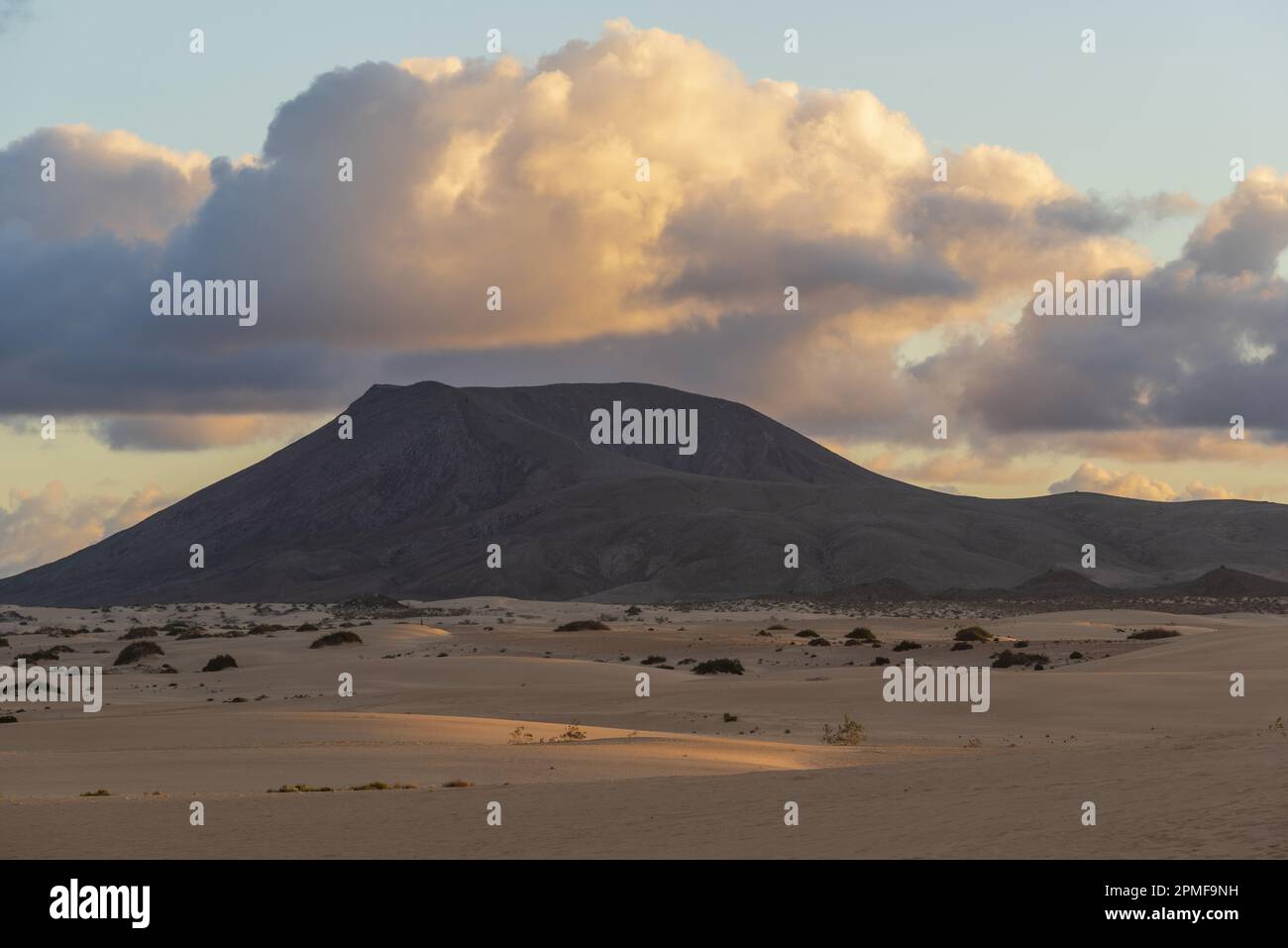 Spanien, Kanarische Inseln, Fuerteventura, Corralejo, Dünen des Naturparks Corralejo Stockfoto