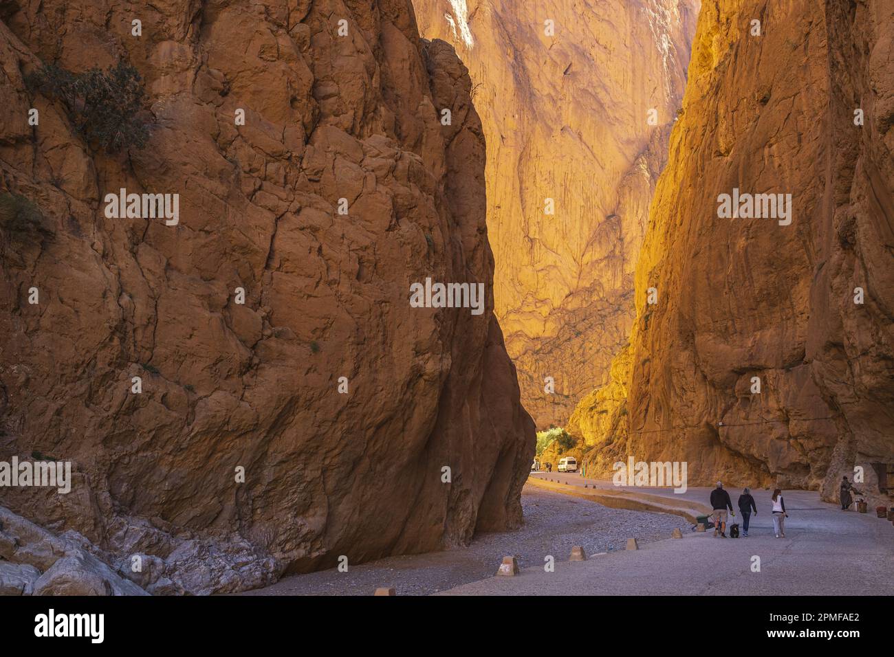 Marokko, Todra (Todgha)-Tal, Todra (Todgha)-Schluchten Stockfoto