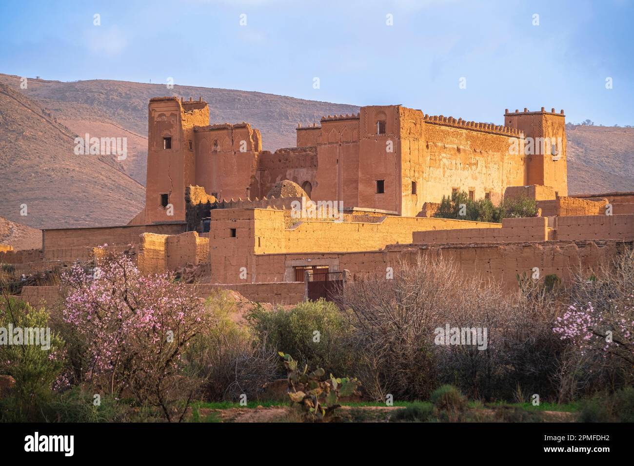 Marokko, Taliouine, die Kasbah der Glaoui unter blühenden Mandelbäumen Stockfoto