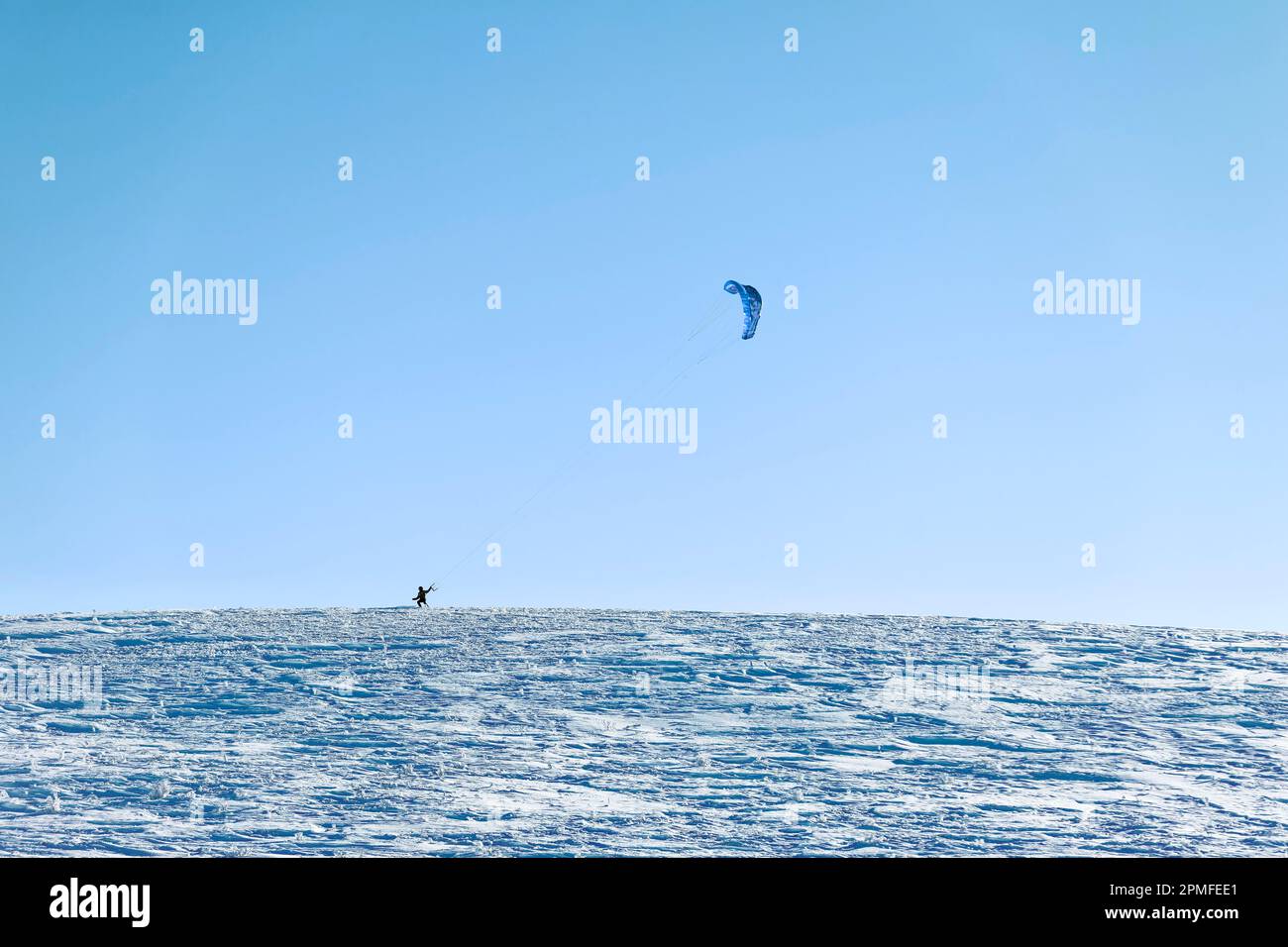 Frankreich, Vogesen (88), Ballons des Vosges Regional Nature Park, La Bresse, Ski-Segeln oder Snowkiting auf dem Gipfel des Hohneck 1363 m unter dem Schnee Stockfoto