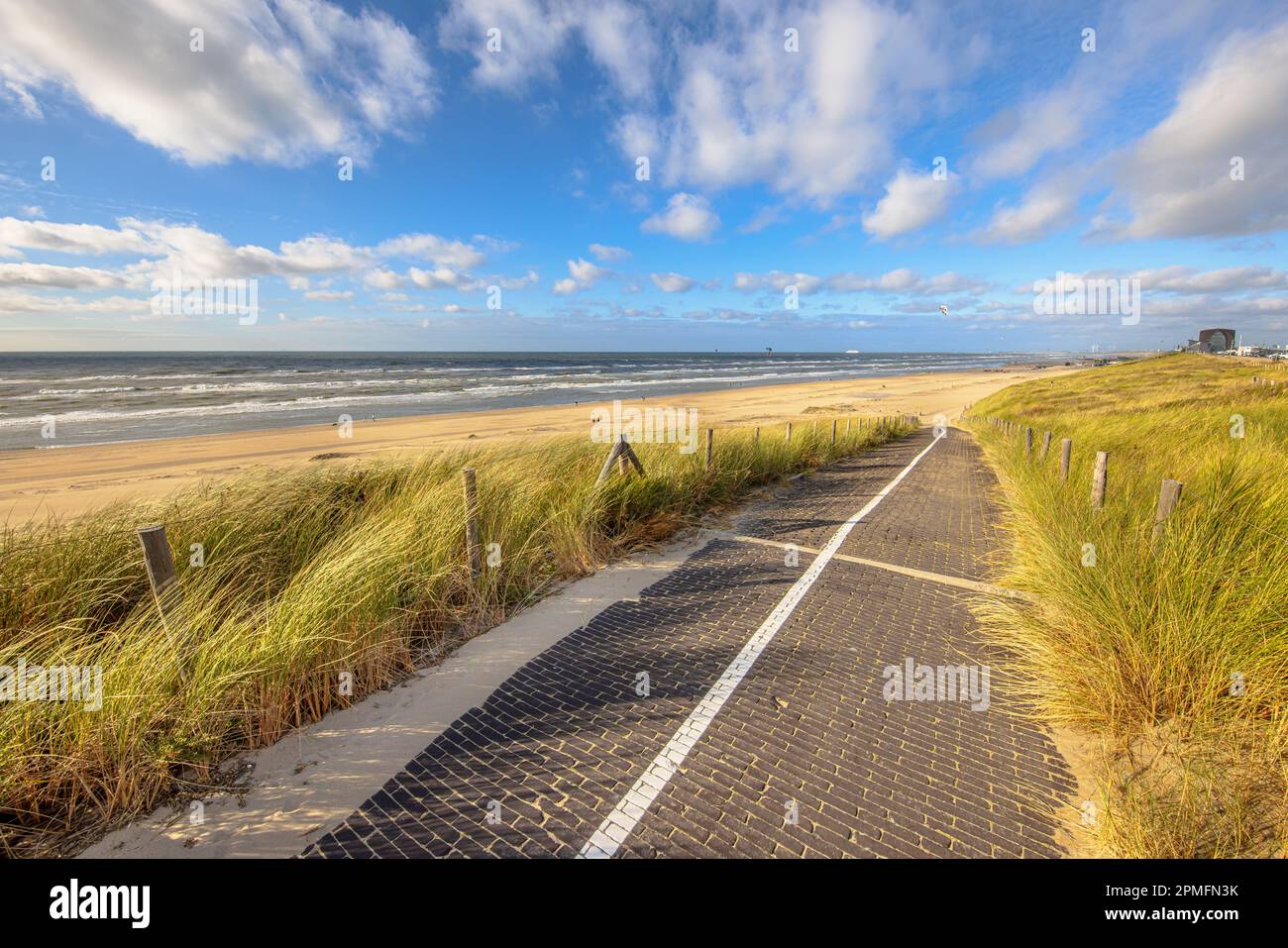 Asphaltierter Pfad durch Dünenlandschaft Eingang zum Nordseestrand. Wijk aan Zee, Nordholland, Niederlande. Meereslandschaft in der Natur Europas. Stockfoto