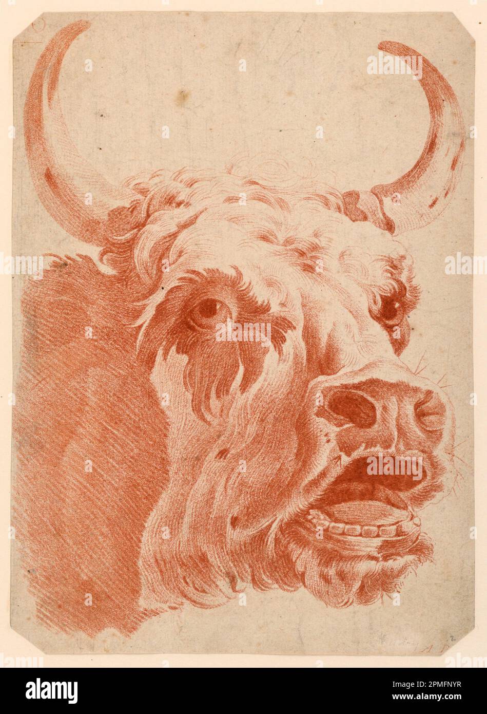 Printwerbung, Head of a Cow; Printwerber: Louis-Marin Bonnet (Französisch, 1736-1793); nach Jean-Baptiste Huët (1745-1811); Frankreich; Gravur in roter Tinte auf Papier; 29,6 x 21,5 cm (11 5/8 x 8 7/16 Zoll) Stockfoto