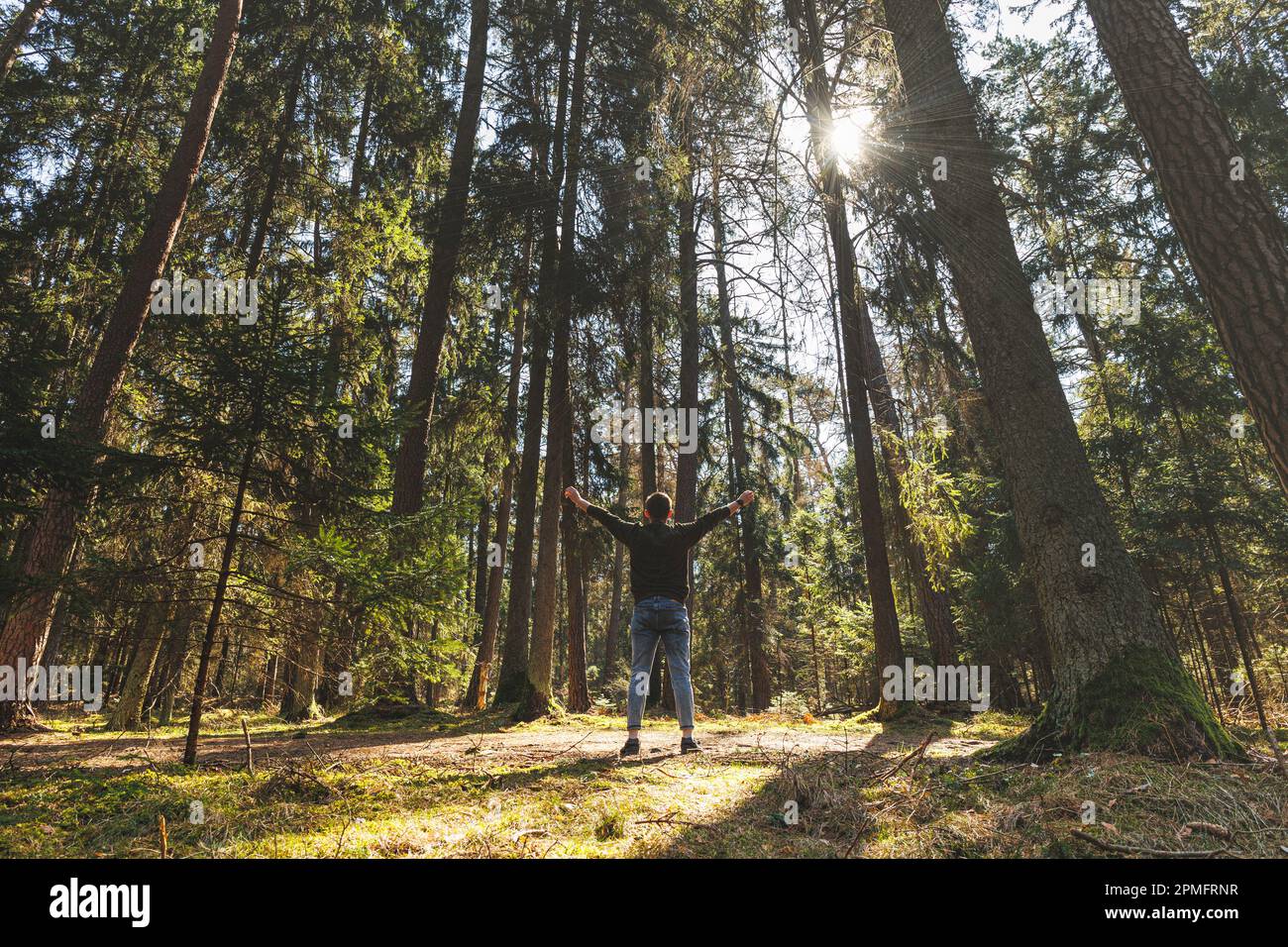 Entspannte Männer stehen im Wald mit ausgestreckten Armen. Glücklicher Mann meditiert im sonnigen Wald. Liebe mit der Natur. Earth Day Konzept. Hohe Qualität Stockfoto