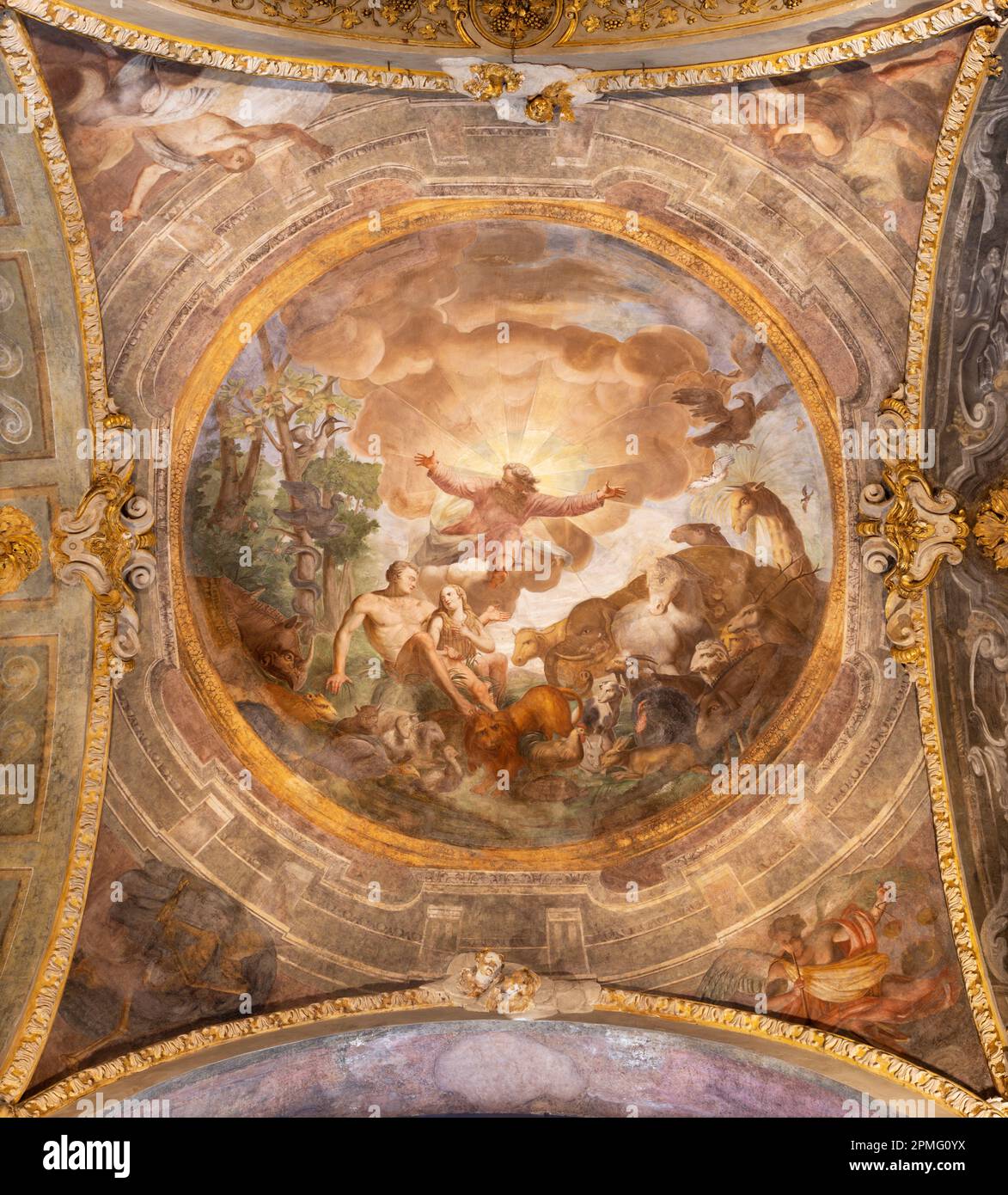 GENUA, ITALIEN - 5. MÄRZ 2023: Das Fresko der Schöpfung des Menschen in der seitlichen Kuppel der Kirche Basilica di Santa Maria delle Vigne Stockfoto