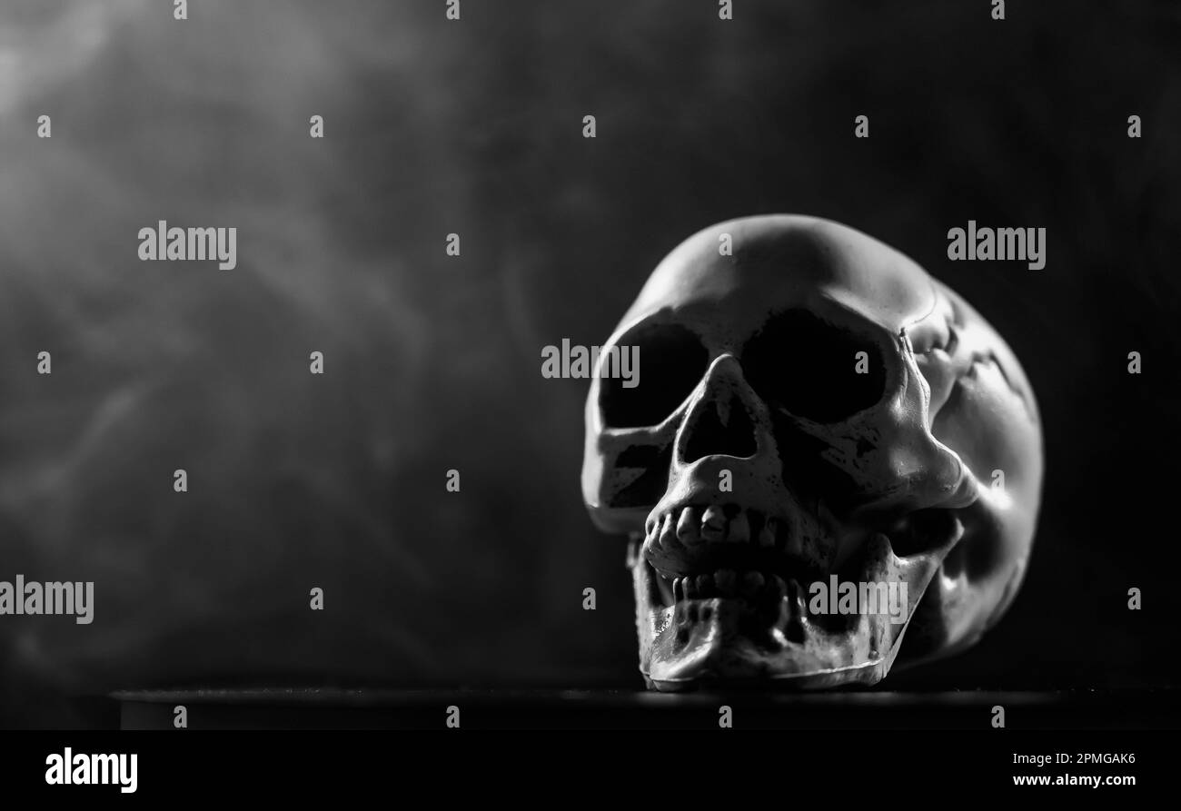 Menschlicher Schädel in Rauch auf schwarzem Hintergrund. Halloween. Schwarzweiß. Stockfoto