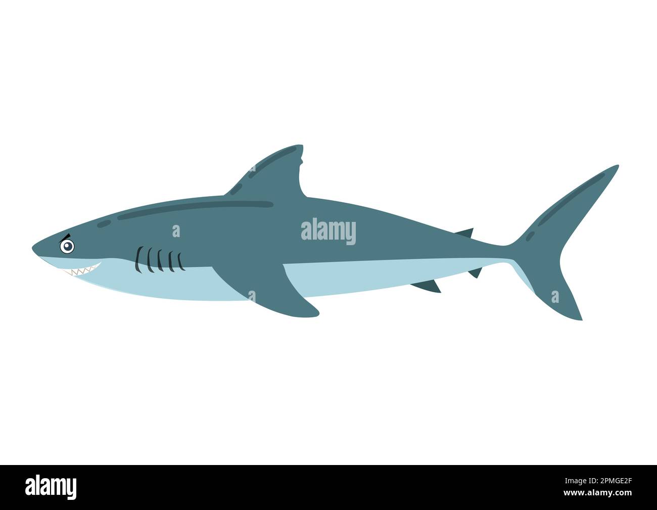 Cartoon Shark im flachen Stil. Vektordarstellung des Hai-Symbols isoliert auf weißem Hintergrund Stock Vektor
