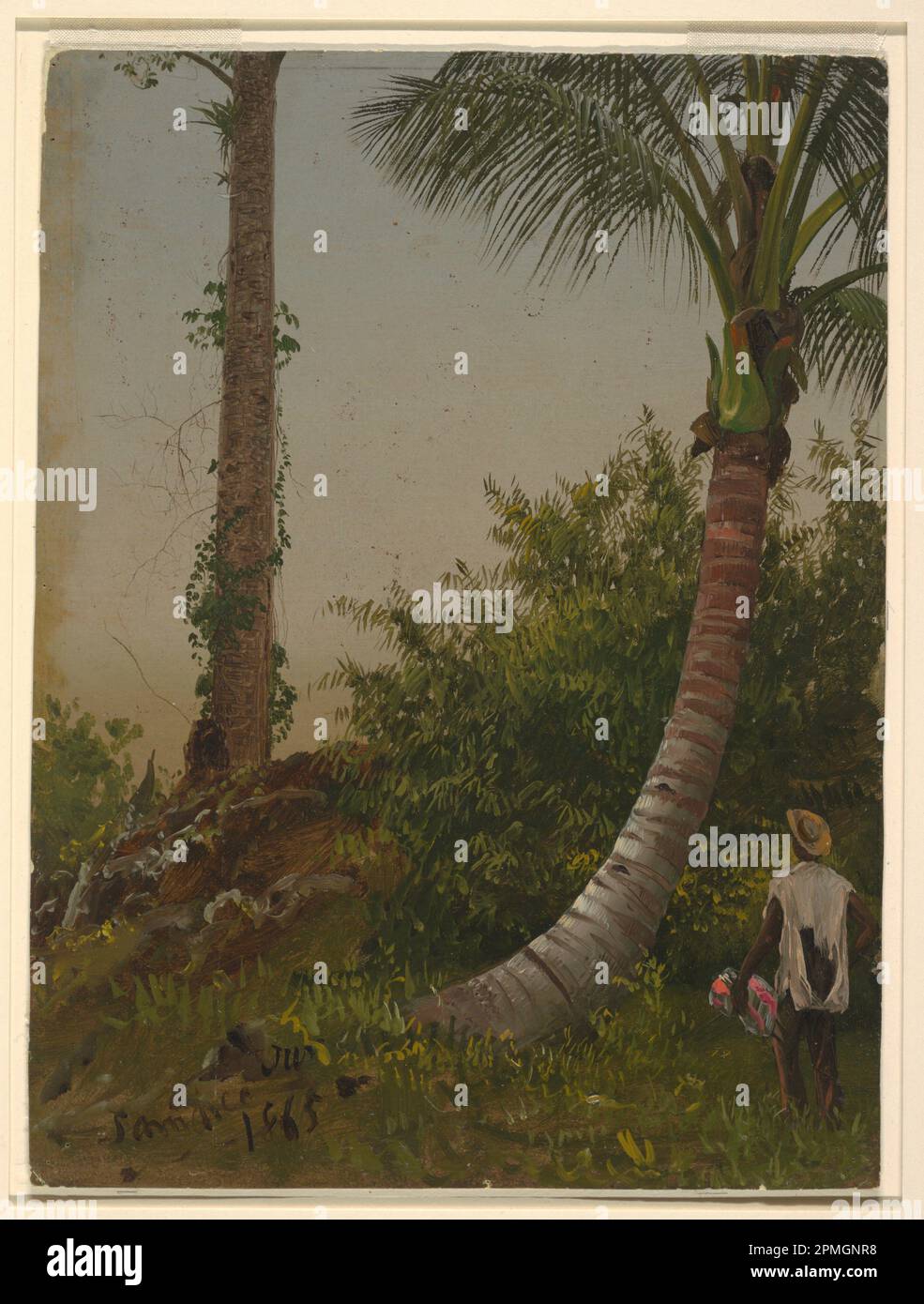 Zeichnen, Bäume in Jamaika, West Indies; Frederic Edwin Church (amerikanisch, 1826–1900); USA; Öl auf dünner grüner Pappe; 30,3 x 22,7 cm (11 15/16 x 8 15/16 Zoll) Stockfoto