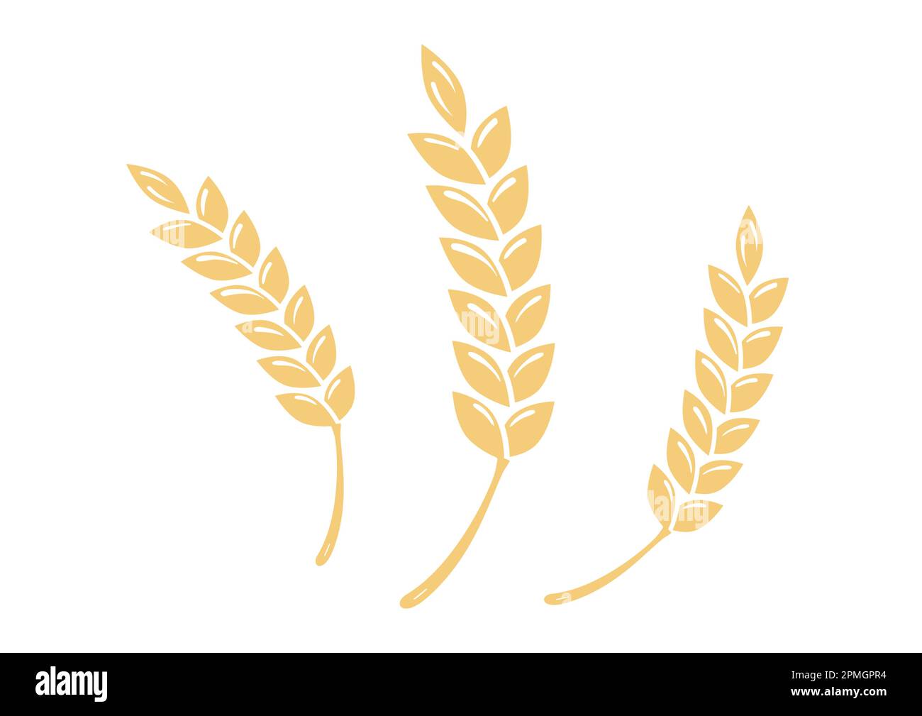 Vektordarstellung der Goldenen Weizenohnen Stock Vektor