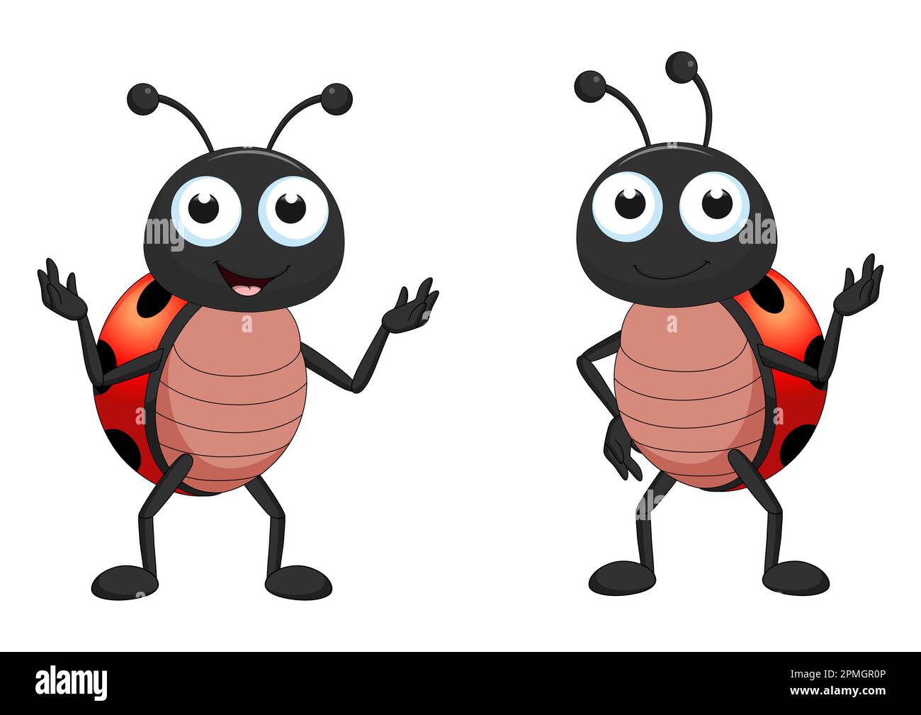 Zwei Marienkäfer in verschiedenen Positionen. Cartoon-Marienkäfer isoliert auf weißem Hintergrund. Vektordarstellung Stock Vektor