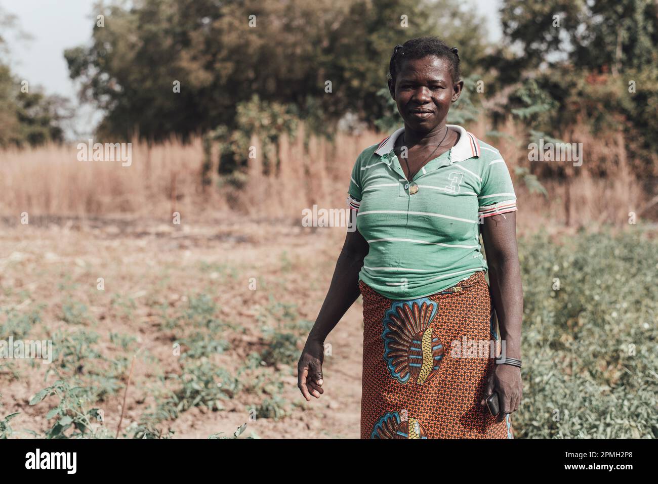 Ouagadougou, Burkina Faso, Afrika. Szenen des Arbeitslebens in den Vororten der Hauptstadt, wo die Wirtschaft im Wesentlichen auf der Landwirtschaft basiert Stockfoto