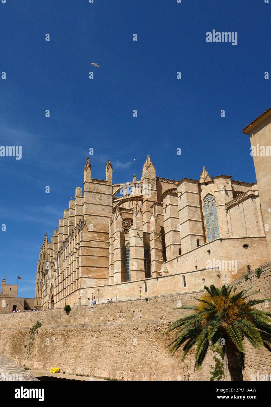 Palma de Mallorca, Spanien, -30. März 2023. Blick auf die berühmte Touristenattraktion Kathedrale La Seu, Palma de Mallorca, Symbol der Stadt, größtes gotisches chu Stockfoto