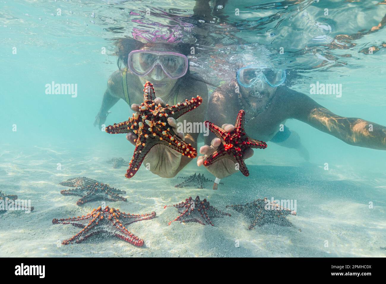 Mann und Frau mit Tauchermasken, die Seesterne zeigen, die unter Wasser in der exotischen Lagune schwimmen, Sansibar, Tansania, Ostafrika, Afrika Stockfoto