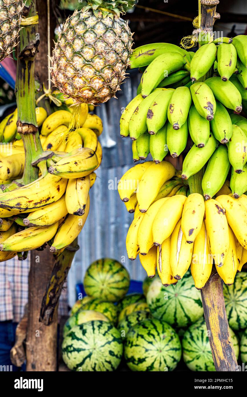 Bananen und Ananas zum Verkauf in einem Obstladen, Sansibar, Tansania, Ostafrika, Afrika Stockfoto