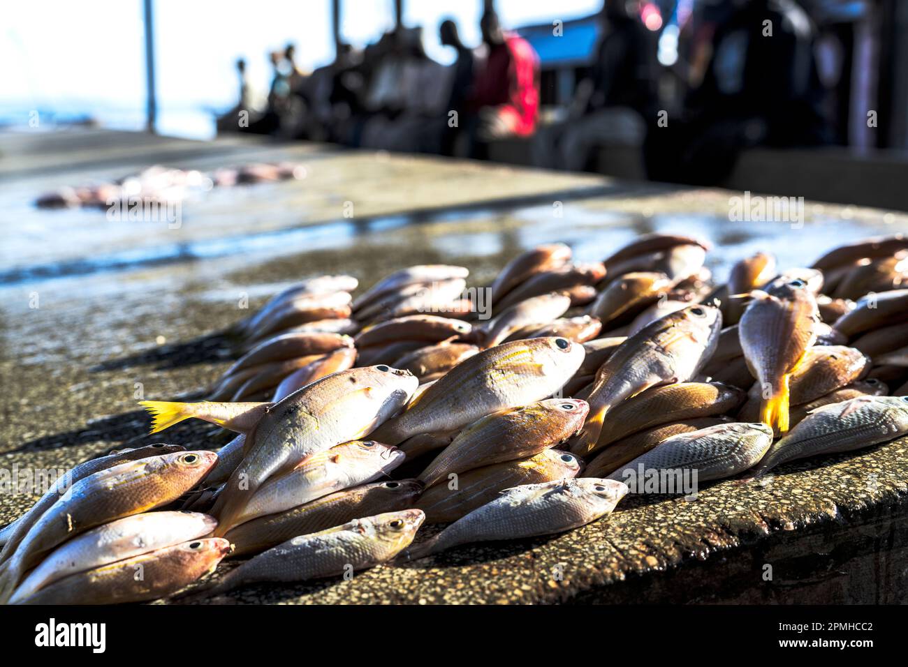 Frischer Fisch zum Verkauf, Mkokotoni, Sansibar, Tansania, Ostafrika, Afrika Stockfoto