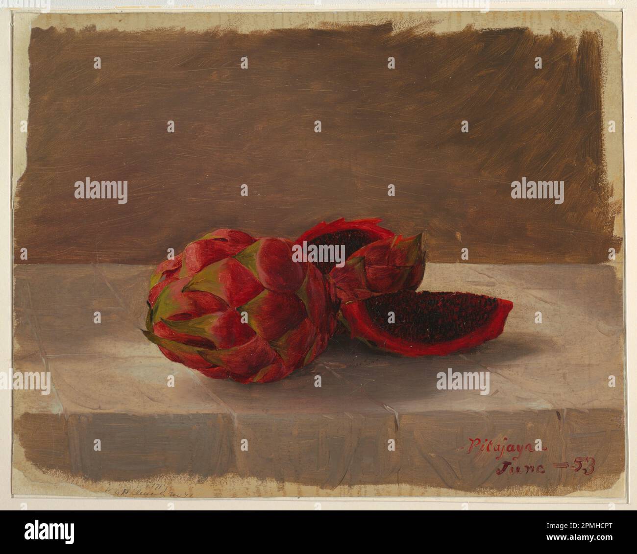 Zeichnung, Pitajaya Fruit, Columbia; Frederic Edwin Church (amerikanisch, 1826–1900); Kolumbien; Pinsel- und Ölfarbe, Graphit auf Pappe; 29,4 x 36,9 cm (11 9/16 x 14 1/2 Zoll) Stockfoto