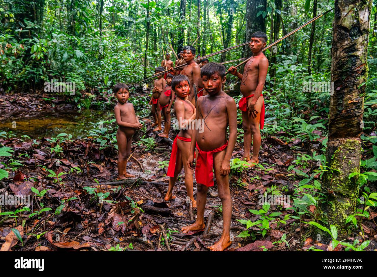 Der Yanomami-Stamm wandert durch den Dschungel, Süd-Venezuela, Südamerika Stockfoto