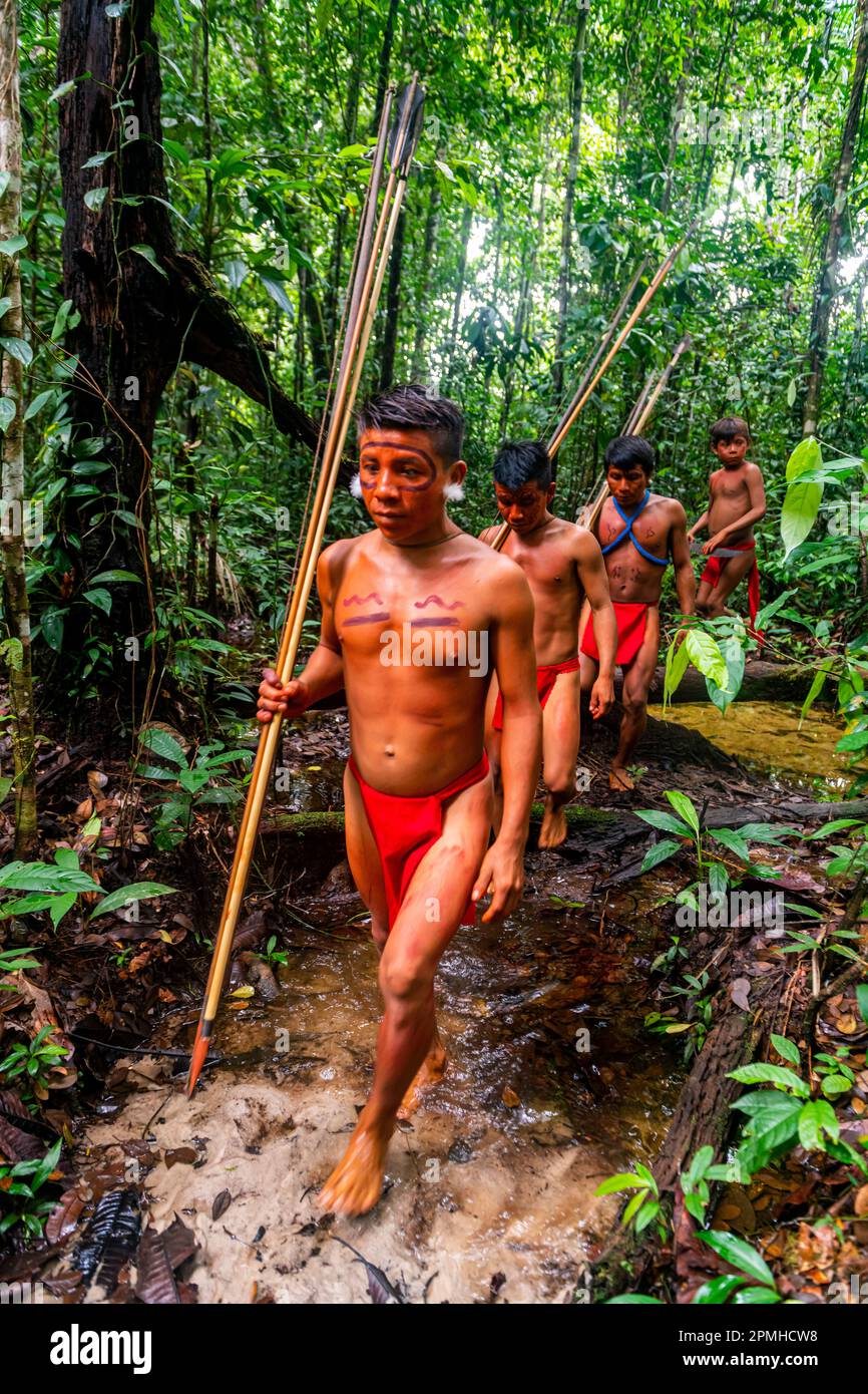 Der Yanomami-Stamm wandert durch den Dschungel, Süd-Venezuela, Südamerika Stockfoto