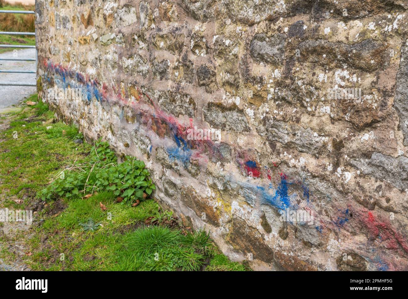 Farbige smit-Zeichen, die von Schafen entlang dieser Scheunenwand abgerieben wurden. Tarnbrook im Wald von Bowland Lancashire Stockfoto