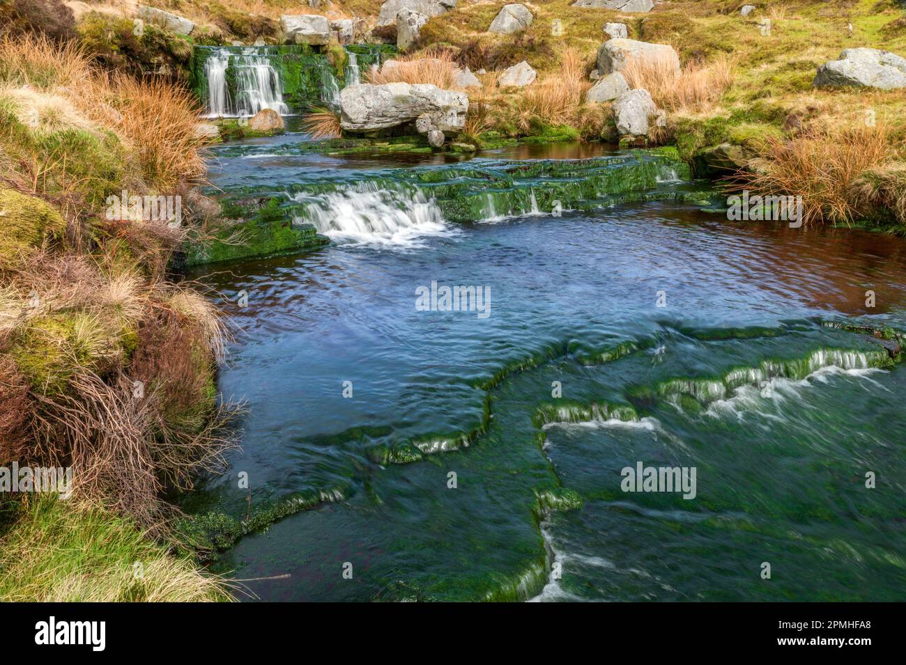 Wasserfälle auf dem Infant Tarnbrook Wyre in Gables Clough über Tarnbrook im Wald von Bowland Lancashire Stockfoto