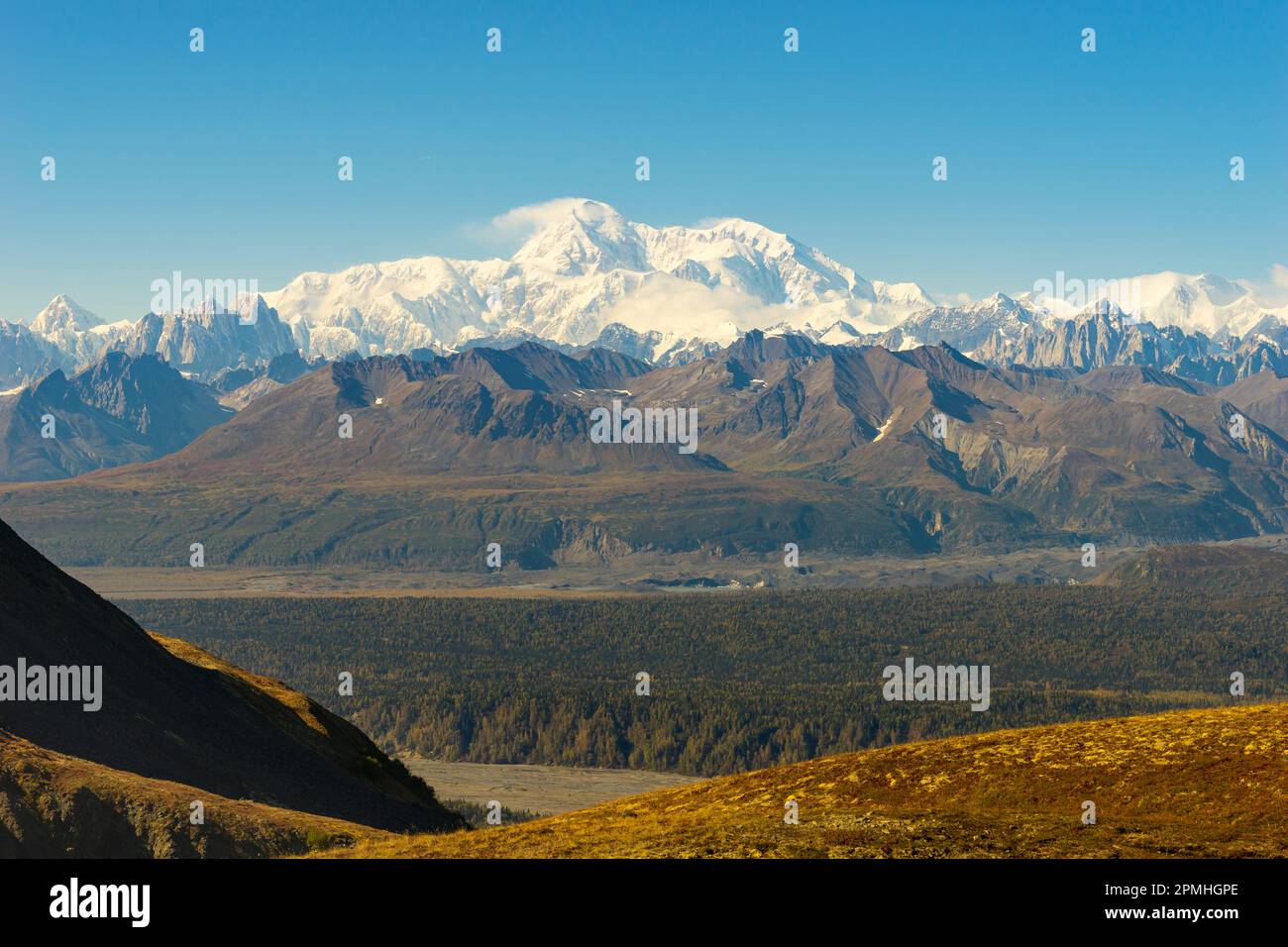 Alaska Range vom K'esugi Ridge Trail, Denali State Park, Matanuska-Susitna Borough, Süd-Zentral-Alaska, Alaska Stockfoto