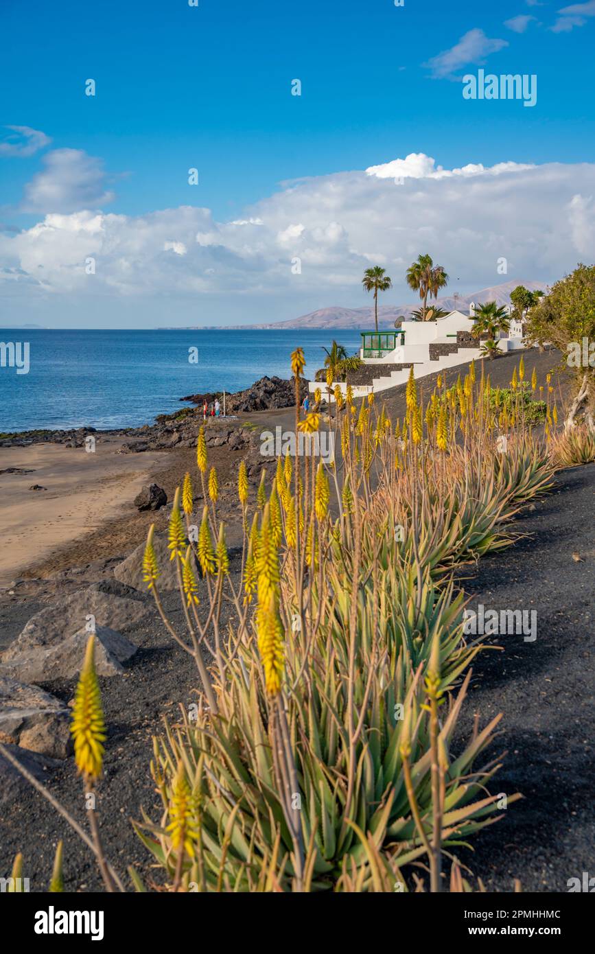 Blick auf die Küste und Playa El Barranquillo Beach, Puerto Carmen, Lanzarote, Las Palmas, Kanarische Inseln, Spanien, Atlantik, Europa Stockfoto