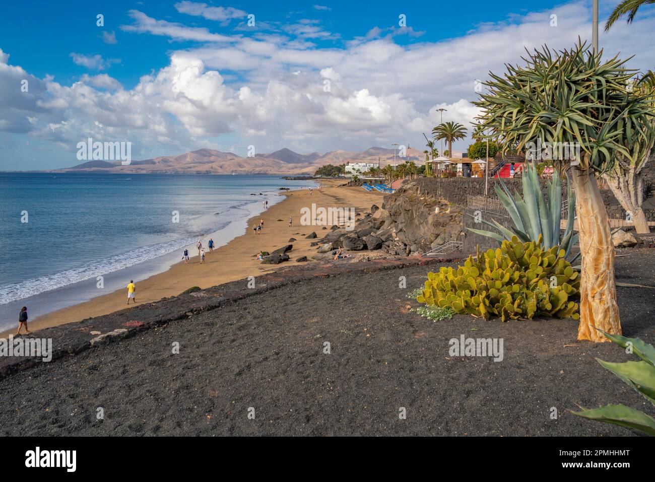 Blick auf Playa Grande Strand und Atlantik, Puerto del Carmen, Lanzarote, Las Palmas, Kanarische Inseln, Spanien, Atlantik, Europa Stockfoto