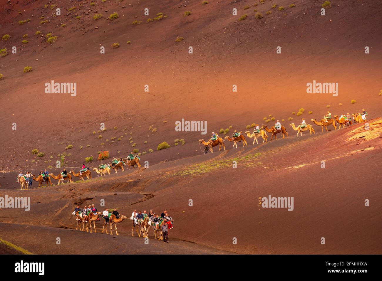 Blick auf Touristen, die Kamele reiten, Timanfaya Nationalpark, Lanzarote, Las Palmas, Kanarische Inseln, Spanien, Atlantik, Europa Stockfoto