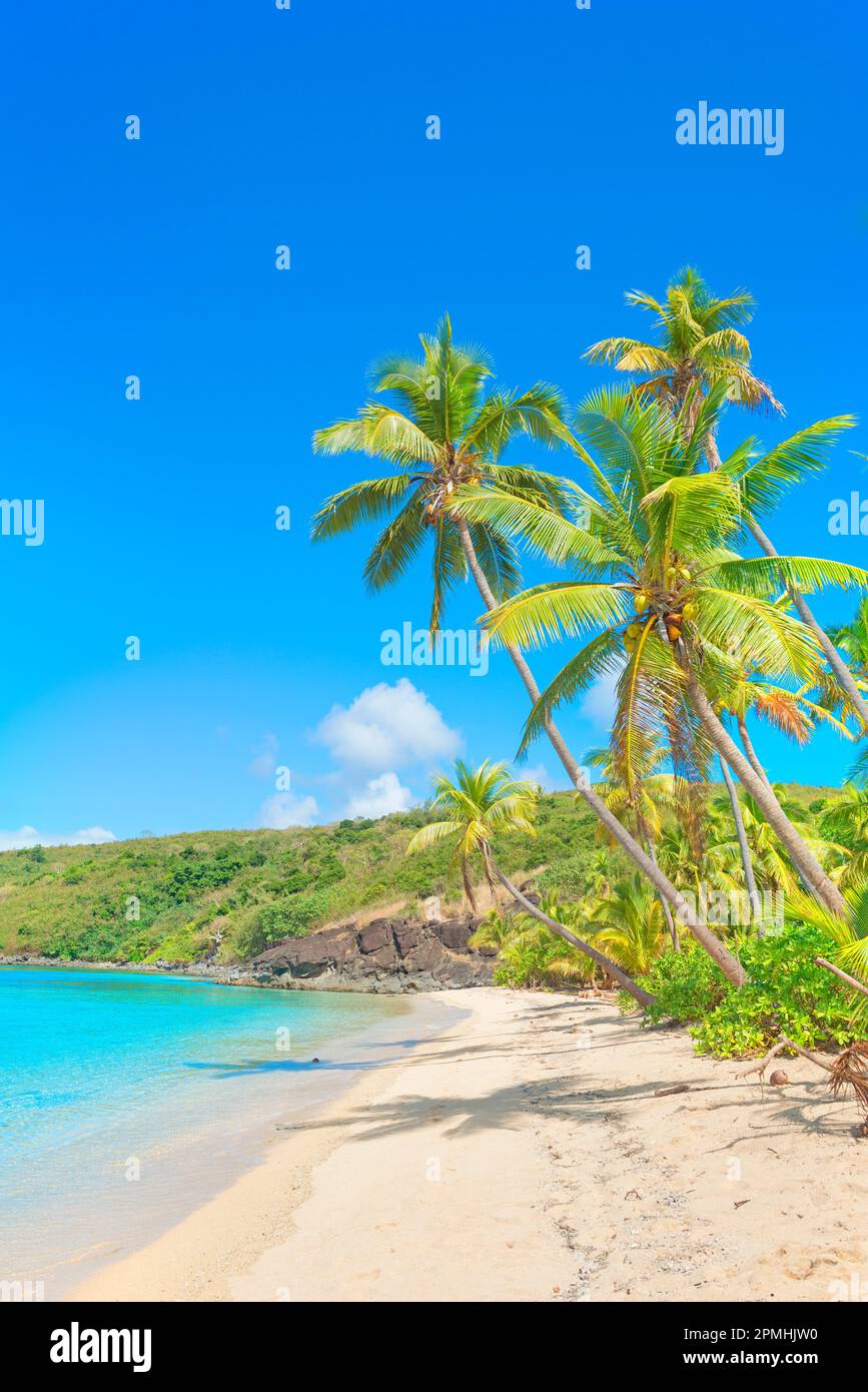 Tropischer Sandstrand, Drawaqa Island, Yasawa Inseln, Fidschi, Südpazifik Inseln, Pazifik Stockfoto