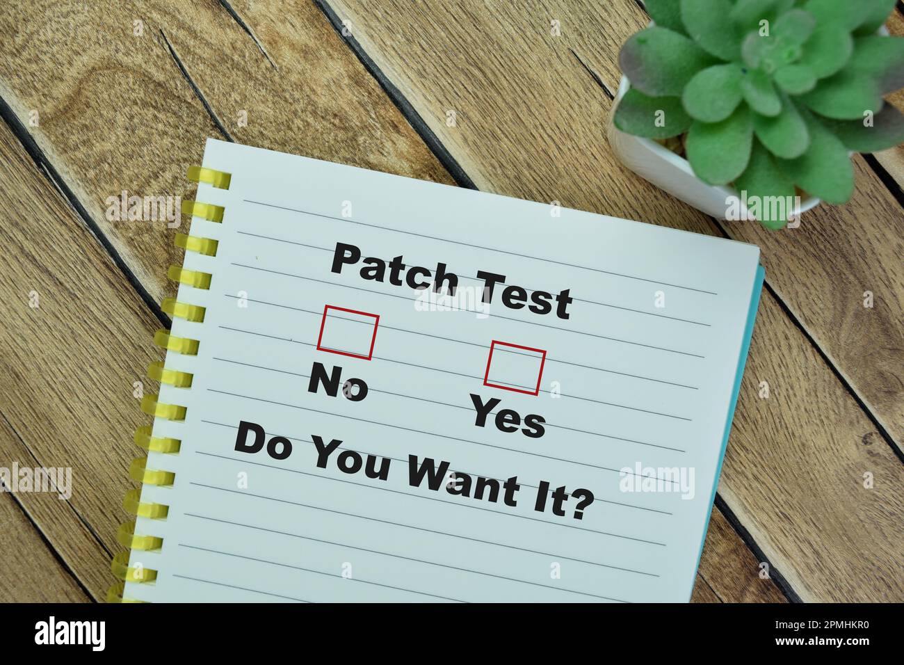 Konzept des Patch-Tests. Willst du es haben? Ja oder Nein Schreiben Sie auf ein Buch isoliert auf einem Holztisch. Stockfoto
