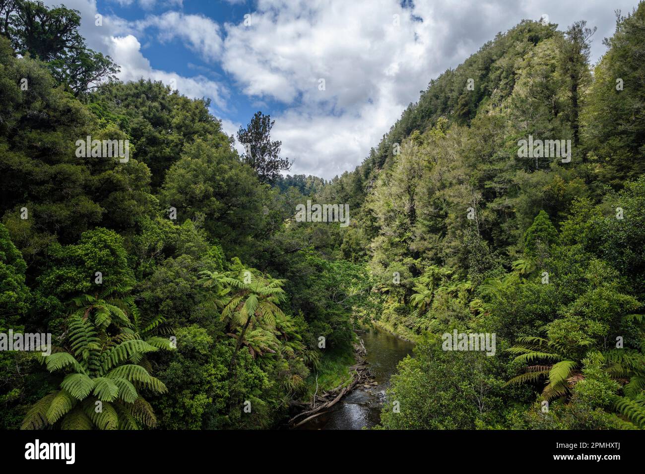 Blick auf den Tangarakau River von einer Brücke über den Forgotten World Highway, North Island, Neuseeland Stockfoto