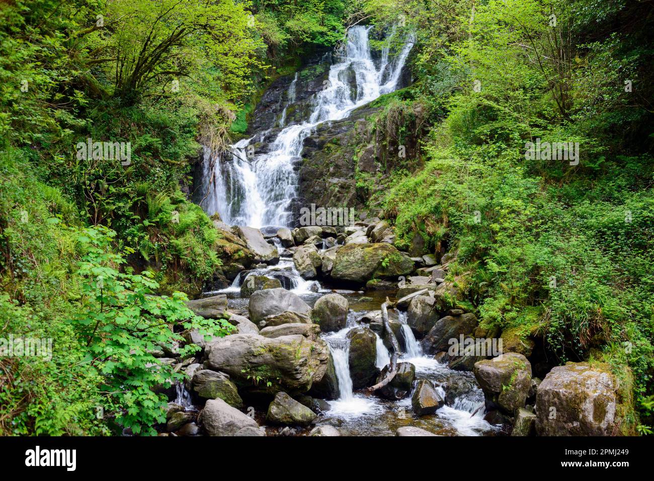Torc Waterfall, Killarney National Park, Irland, Großbritannien Stockfoto