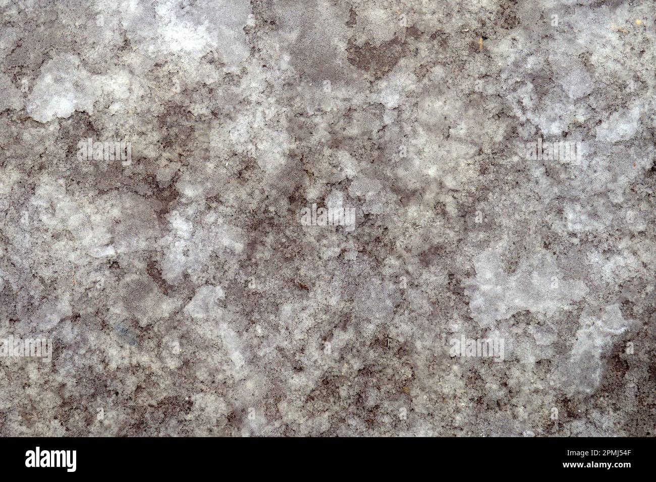 Kristallisiertes Meersalz, der sogenannte Fleur de Sel, Nordbali, Bali, Indonesien Stockfoto