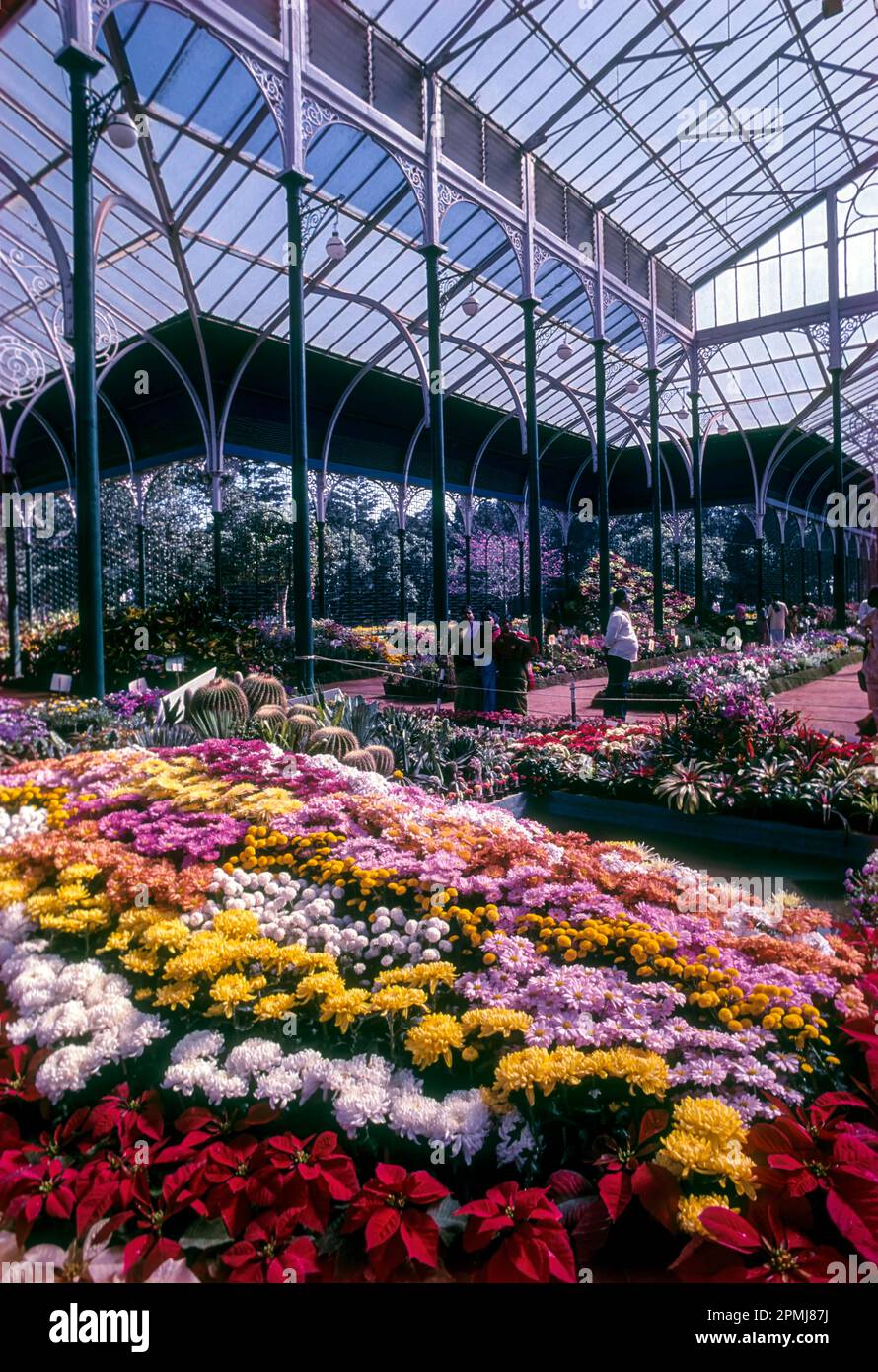 Blumenshow im Glashaus in den botanischen Gärten von Lal Bagh in Bengaluru Bangalore, Karnataka, Südindien, Indien, Asien Stockfoto